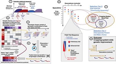 Multi-Species Genomics-Enabled Selection for Improving Agroecosystems Across Space and Time